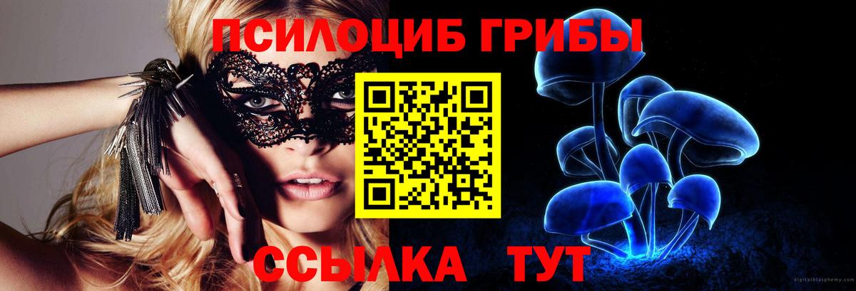 Галлюциногенные грибы MAGIC MUSHROOMS  купить наркотик  Алексин  Вход с VPN 